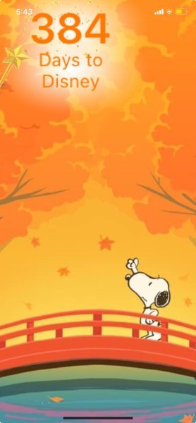 SNOOPY FALL BRIDGE.jpeg