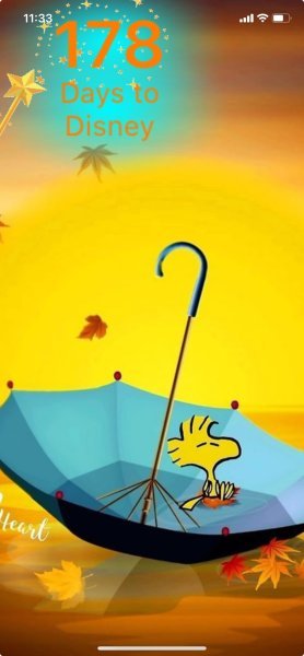 WOODSTOCK UMBRELLA.jpeg