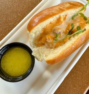 IMG_2025-11-22-110051.jpg IMG_2025-11-22-110051.jpg