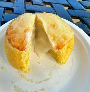 IMG_2025-11-22-110406.jpg IMG_2025-11-22-110406.jpg