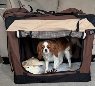 Screenshot 2025-11-23 at 7.32.04 AM.png