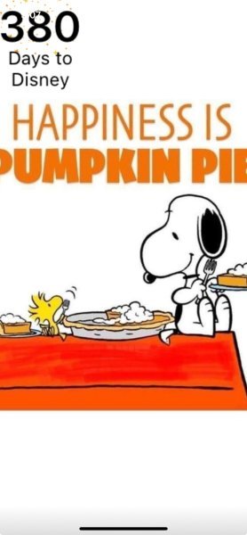 SW PUMPKIN PIE HAPPINESS.jpeg