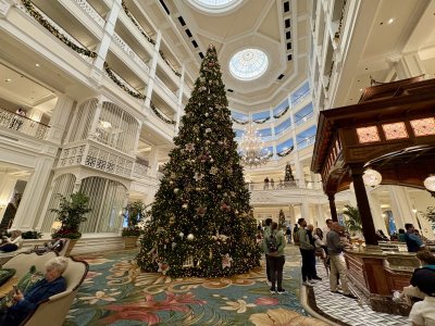 1764326676913.jpeg 1764326676913.jpeg