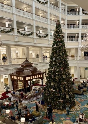 1764327016070.jpeg 1764327016070.jpeg