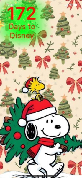 SW XMAS TREE HAUL.jpeg