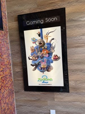 IMG_2382.jpeg IMG_2382.jpeg