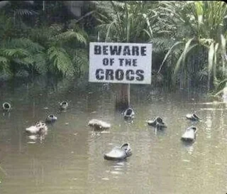 beware-of-crocs-v0-5ahy8xh8y74g1.webp