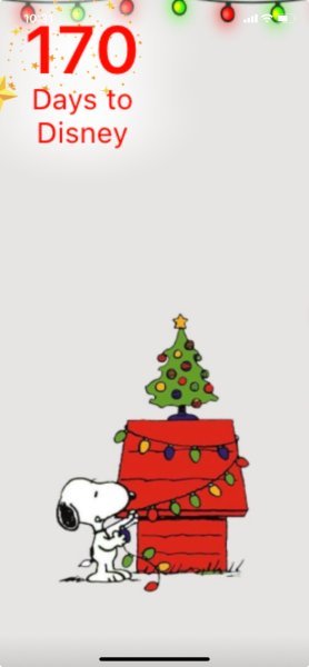 SNOOPY DOGHOUSE DECORATING.jpeg