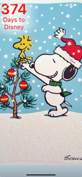 SW WOODSTOCK TREETOPPER.jpeg