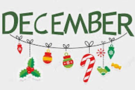 IMG_2959.jpeg IMG_2959.jpeg