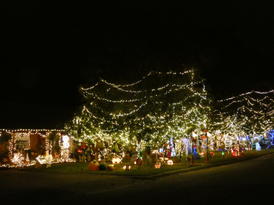 1764664451637.png 1764664451637.png