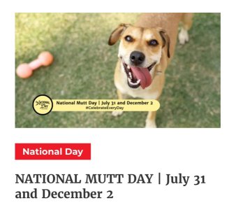 IMG_2974.jpeg IMG_2974.jpeg