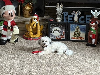 IMG_0406.jpeg IMG_0406.jpeg