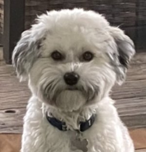 IMG_0210.jpeg IMG_0210.jpeg