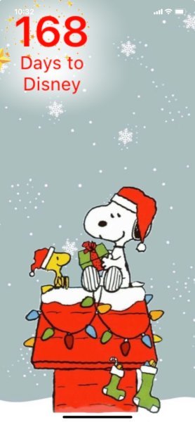 SW DECORATING GIFTS.jpeg