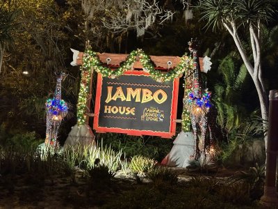 IMG_9199.jpeg IMG_9199.jpeg