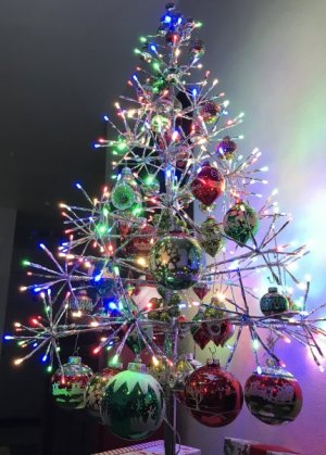 IMG_4413.jpeg IMG_4413.jpeg