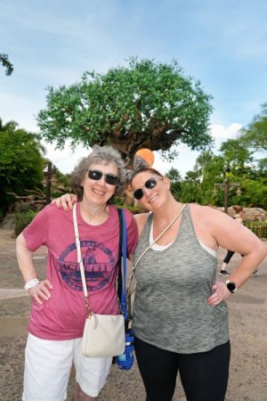 2025-09-22 - Disneys Animal Kingdom Park - The tree of life_12.jpeg 2025-09-22 - Disneys Animal Kingdom Park - The tree of life_12.jpeg