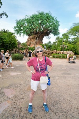 2025-09-22 - Disneys Animal Kingdom Park - The tree of life_5.jpeg 2025-09-22 - Disneys Animal Kingdom Park - The tree of life_5.jpeg