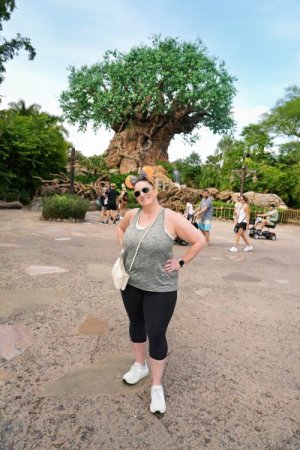 2025-09-22 - Disneys Animal Kingdom Park - The tree of life.jpeg 2025-09-22 - Disneys Animal Kingdom Park - The tree of life.jpeg