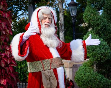 STP_20251130_035.jpg STP_20251130_035.jpg