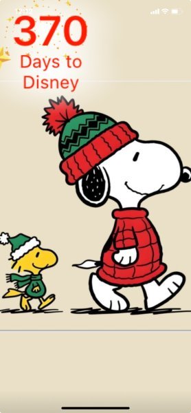 SW WALKING RIGHT.jpeg