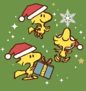 WOODSTOCK CHRISTMAS.jpg