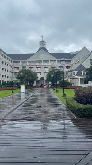 IMG_6906.jpeg IMG_6906.jpeg