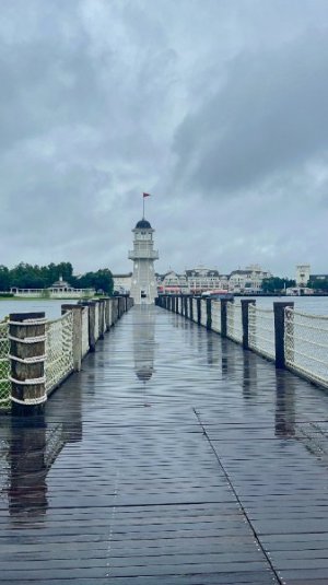 IMG_6910.jpeg IMG_6910.jpeg