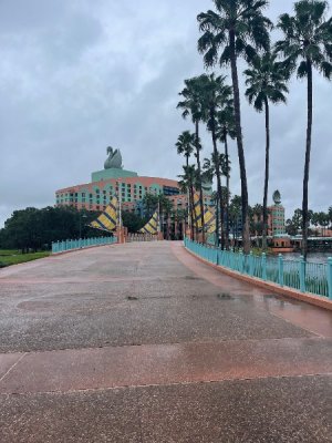 IMG_6914.jpeg IMG_6914.jpeg