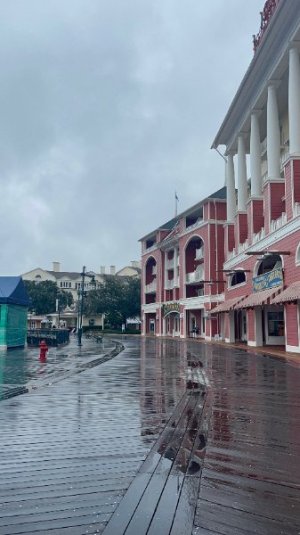 IMG_6919.jpeg IMG_6919.jpeg