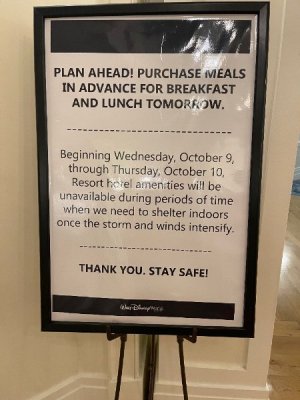 IMG_6990.jpeg IMG_6990.jpeg