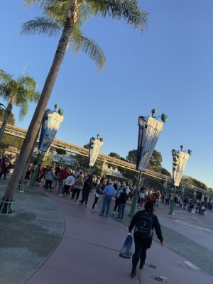 IMG_7752.jpeg IMG_7752.jpeg