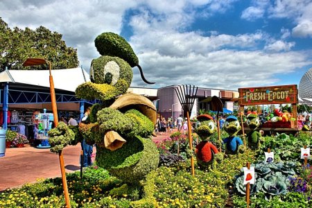 1765063709430.jpeg 1765063709430.jpeg