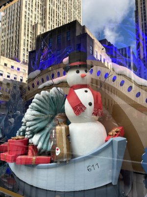 IMG_0651.jpeg IMG_0651.jpeg