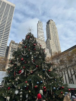 IMG_0630.jpeg IMG_0630.jpeg