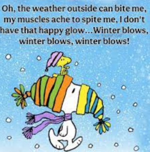 1765121432551.png 1765121432551.png