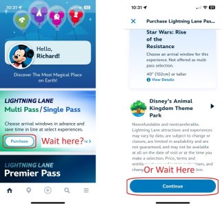 IMG_3238.jpg IMG_3238.jpg