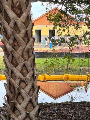 IMG_4659.jpeg IMG_4659.jpeg