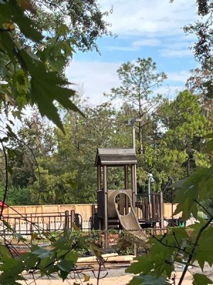 IMG_4662.jpeg IMG_4662.jpeg