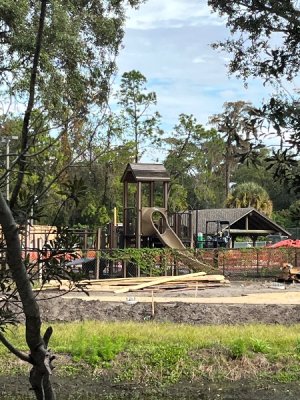 IMG_4666.jpeg IMG_4666.jpeg