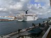 Cruise 104.jpg