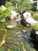 DSCF7771 (768x1024).jpg
