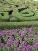 DSCF7793 (768x1024).jpg