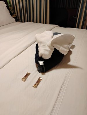 1765133851032.jpeg 1765133851032.jpeg