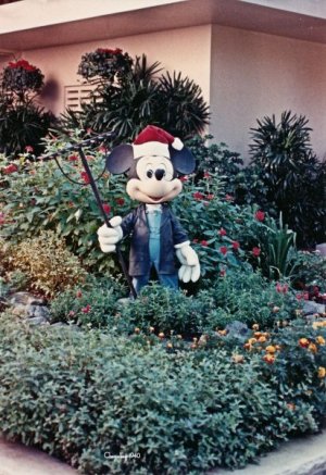 1765152614488.jpeg 1765152614488.jpeg