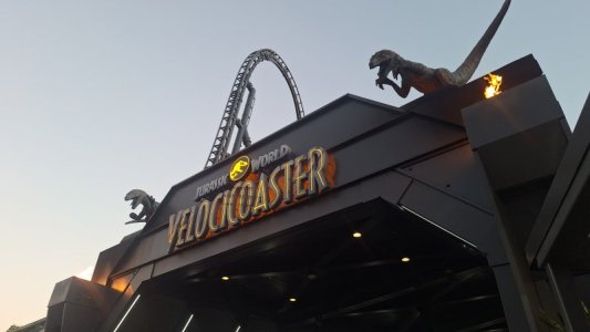 1765177613077.jpeg 1765177613077.jpeg