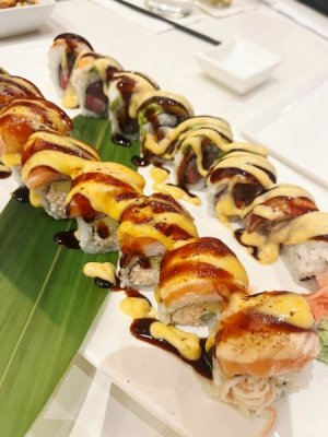 1765177779521.jpeg 1765177779521.jpeg