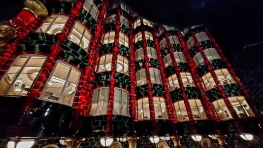 1765178263623.jpeg 1765178263623.jpeg