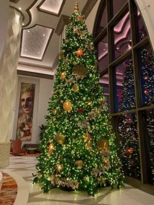 GDT HOLIDAY LOBBY TREE2 DEC 2024.jpg